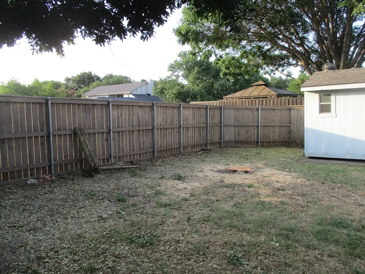 Cleared yard after professional tree removal in East Palestine